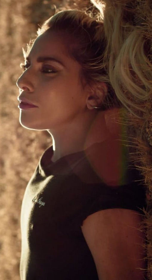 Lady Gaga 21 dec.20…